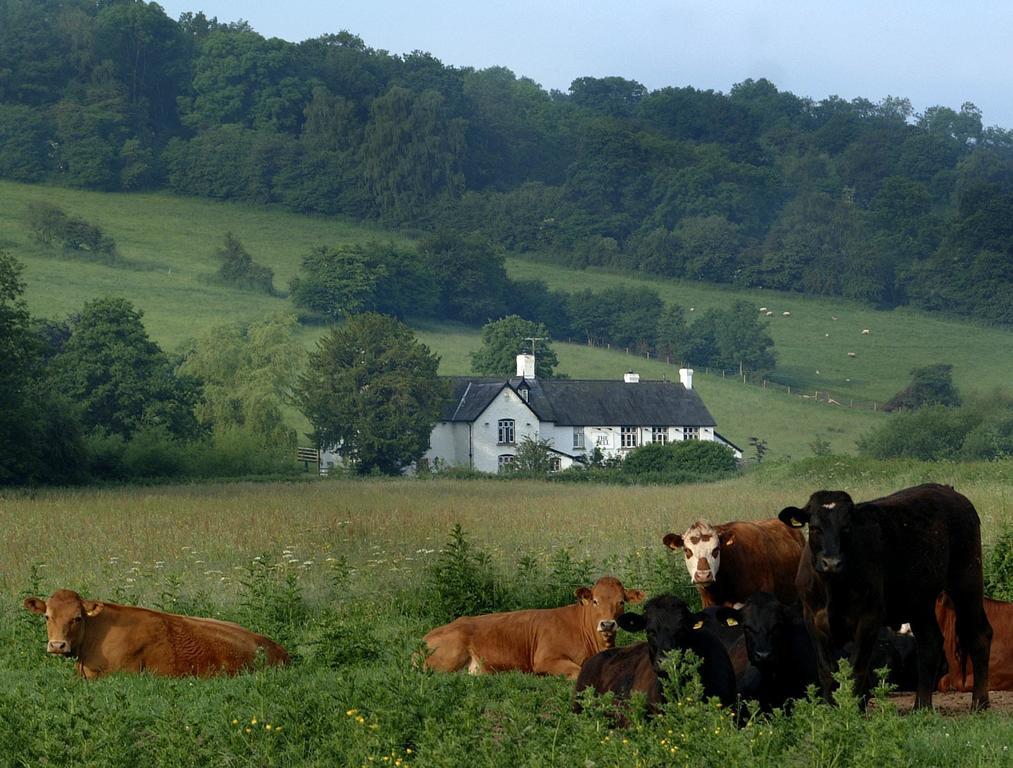 Hotel The Bell At Skenfrith Esterno foto